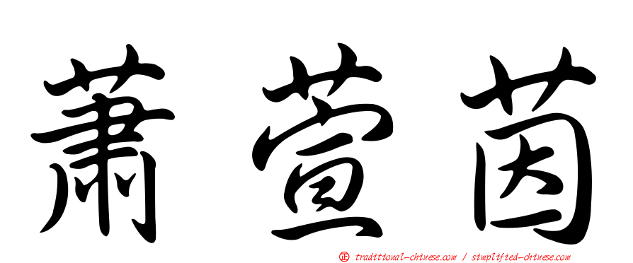 蕭萱茵