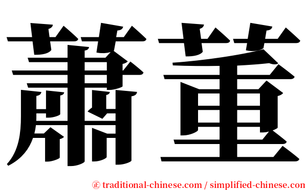 蕭董 serif font