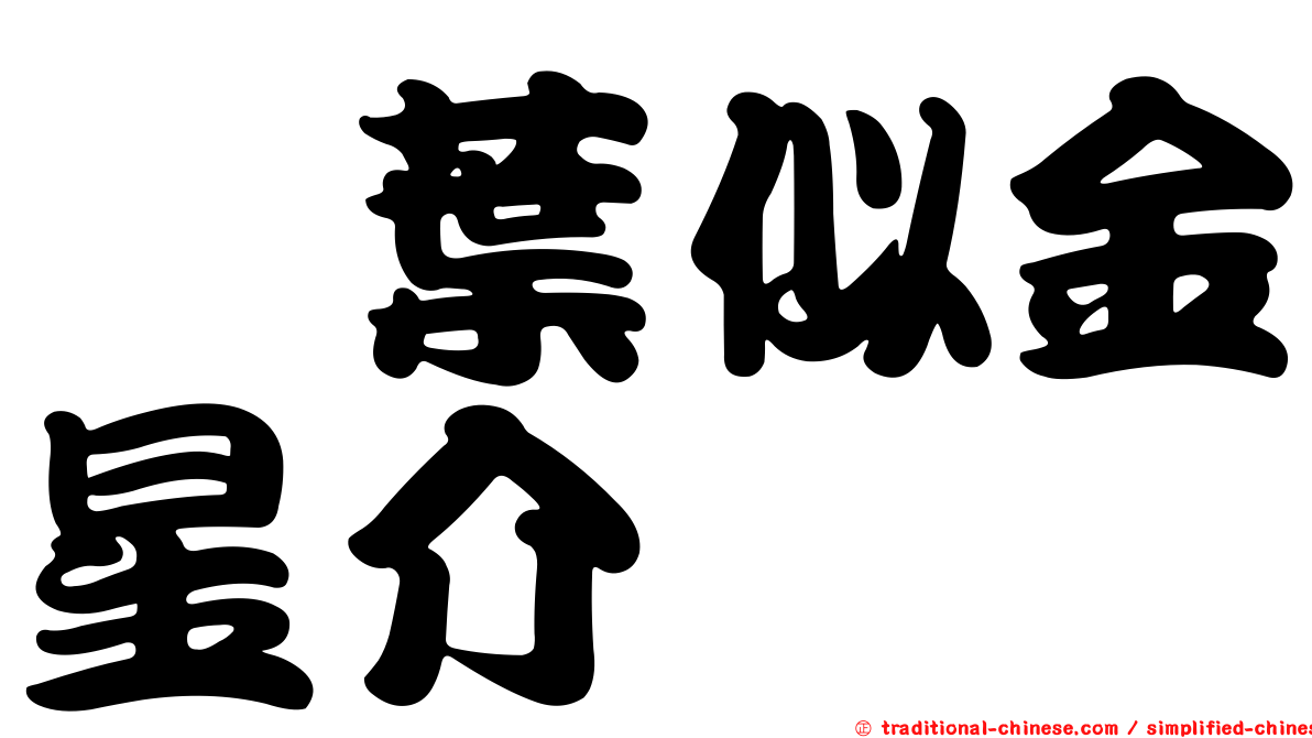 蕺葉似金星介