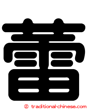 蕾