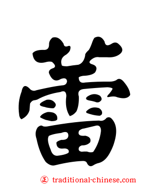 蕾