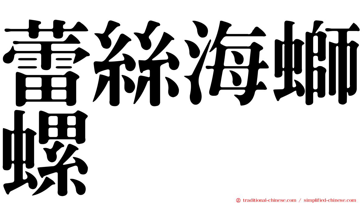 蕾絲海螄螺