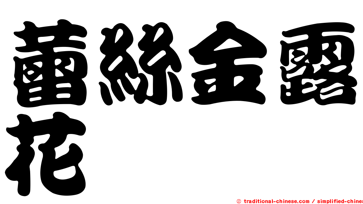 蕾絲金露花