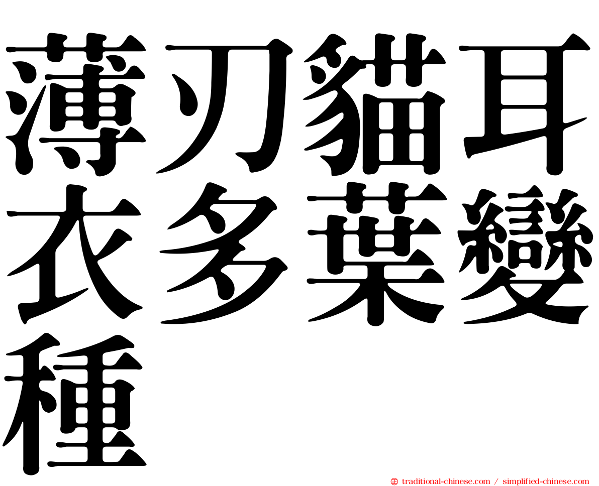 薄刃貓耳衣多葉變種