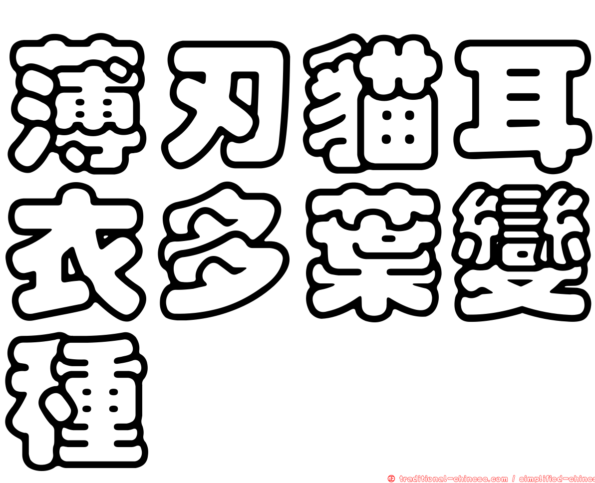 薄刃貓耳衣多葉變種