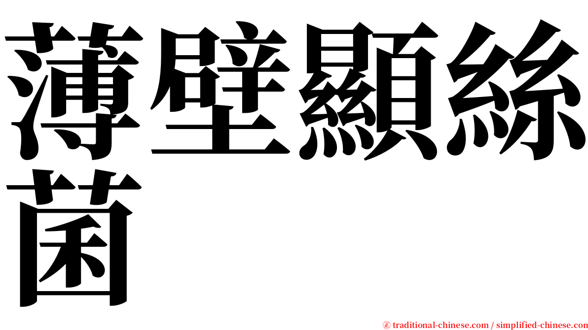 薄壁顯絲菌 serif font