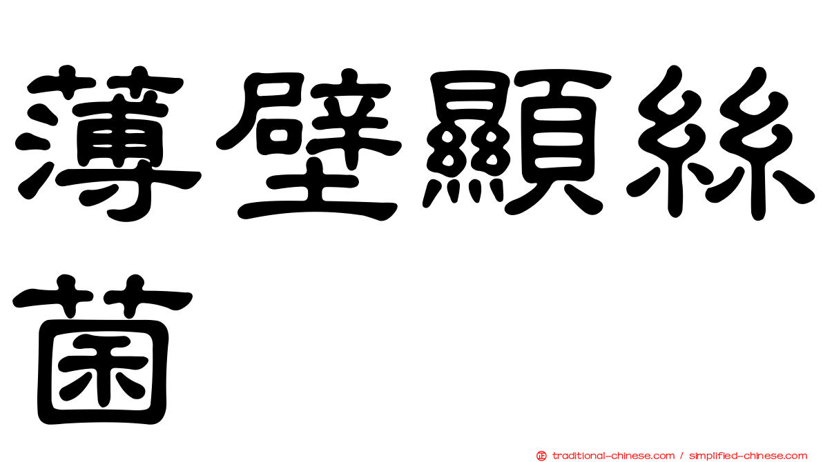 薄壁顯絲菌