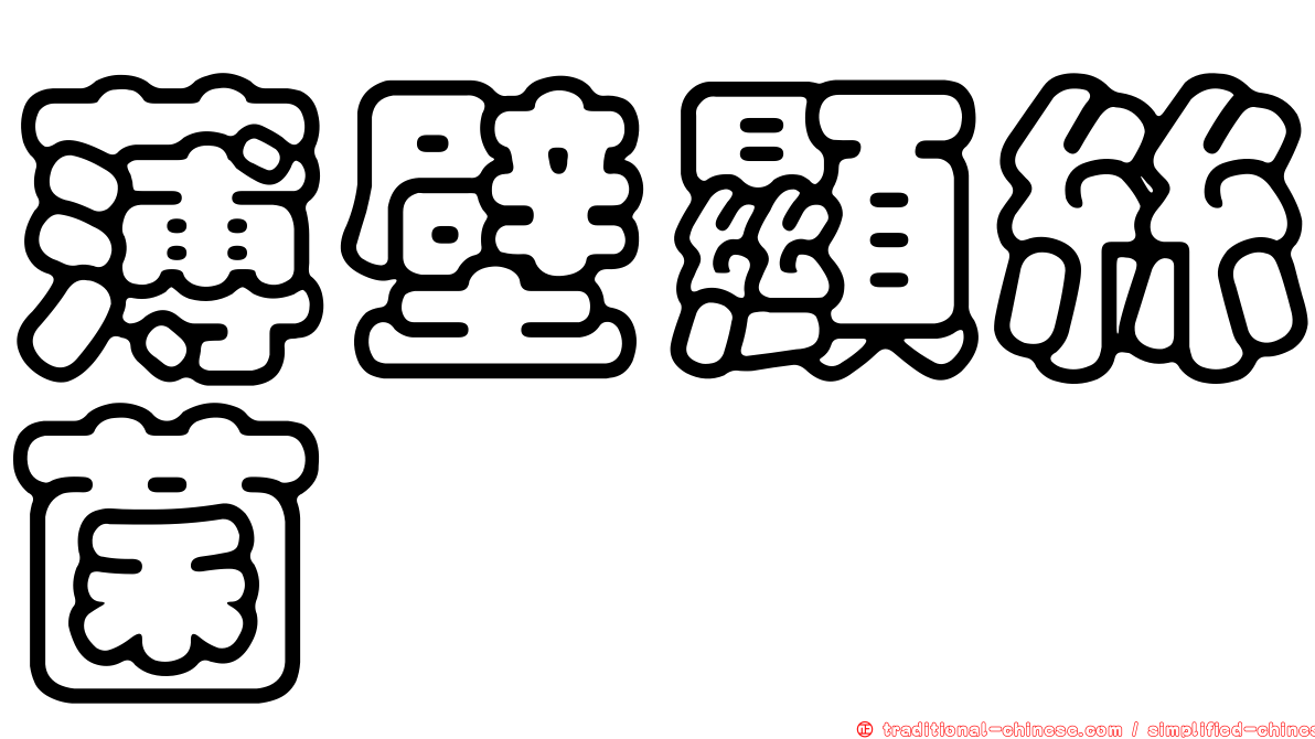 薄壁顯絲菌