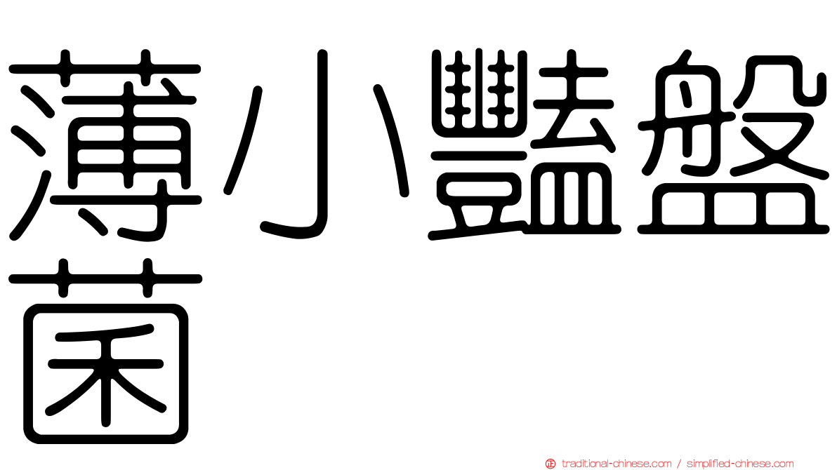 薄小豔盤菌