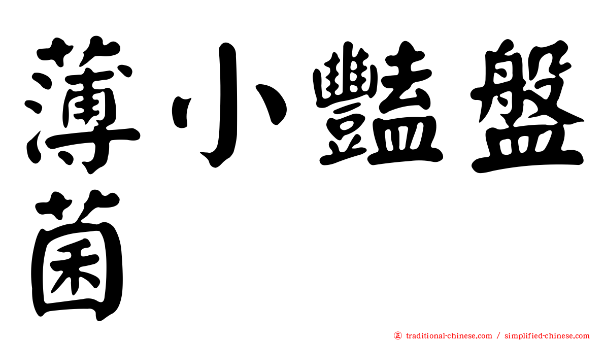 薄小豔盤菌