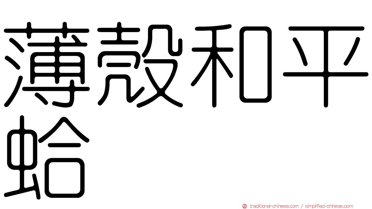 薄殼和平蛤