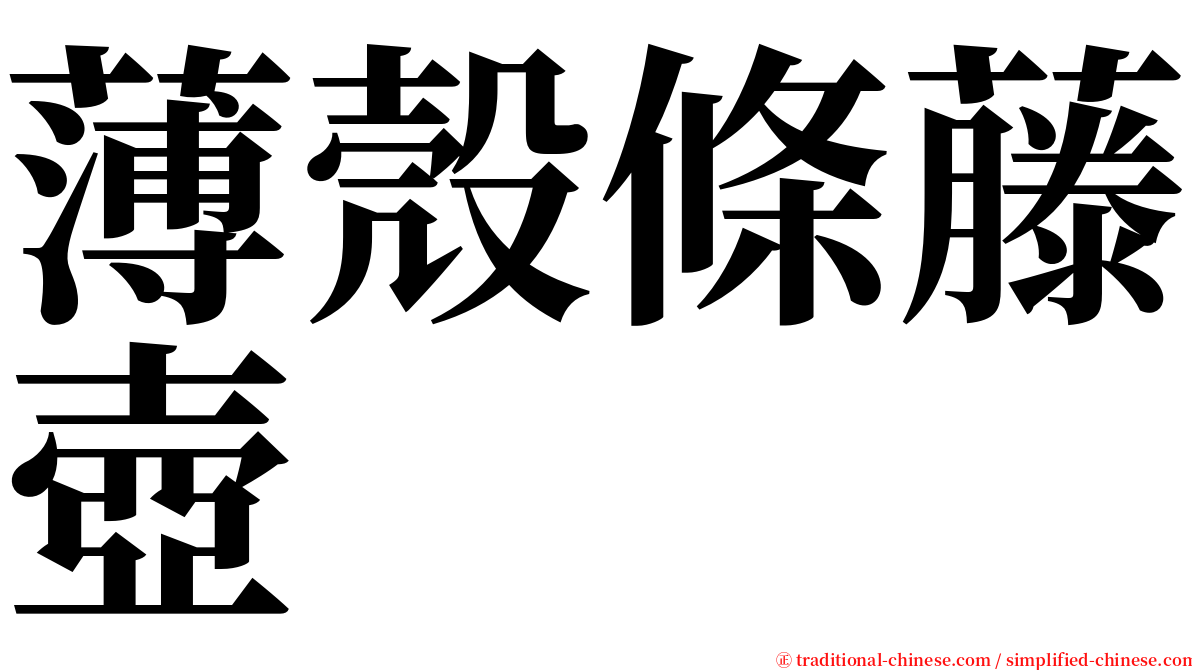 薄殼條藤壺 serif font