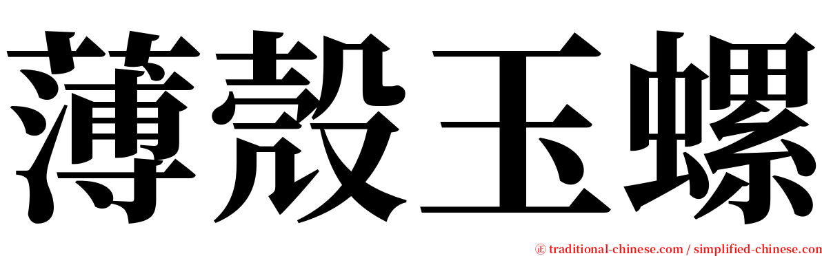 薄殼玉螺 serif font