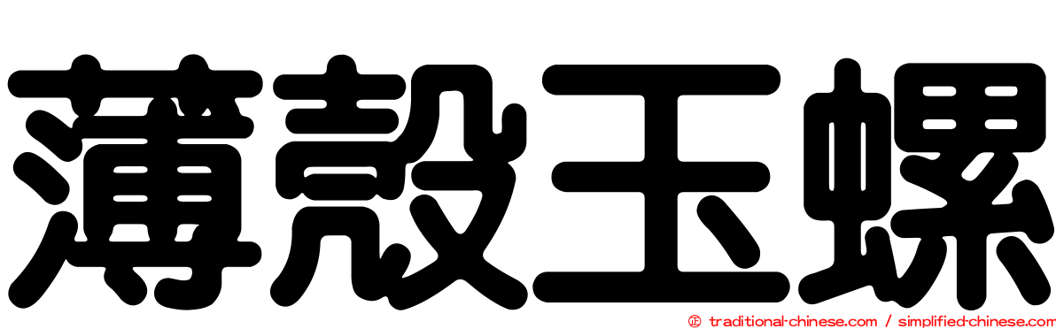 薄殼玉螺