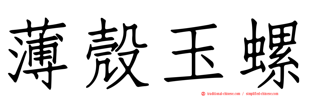 薄殼玉螺