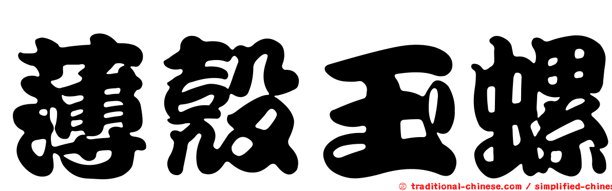薄殼玉螺