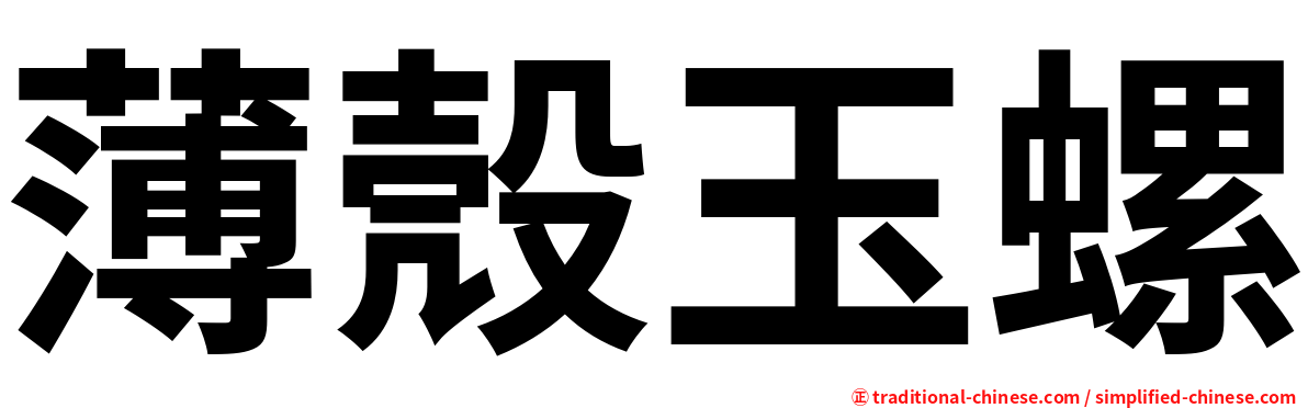薄殼玉螺