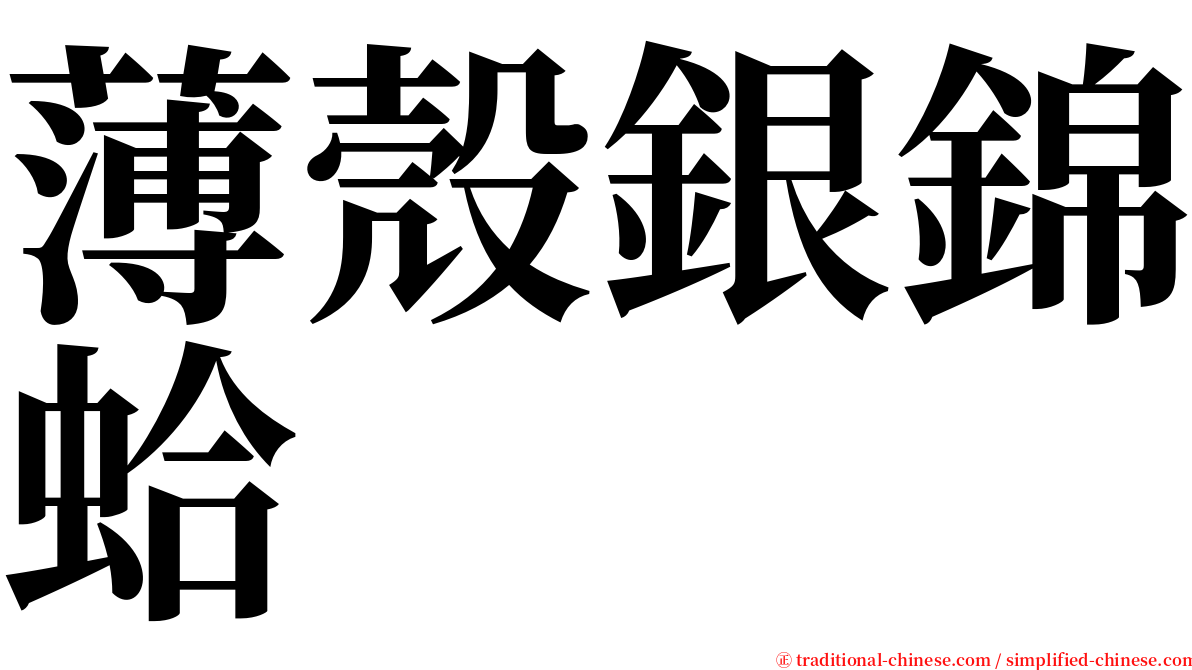 薄殼銀錦蛤 serif font