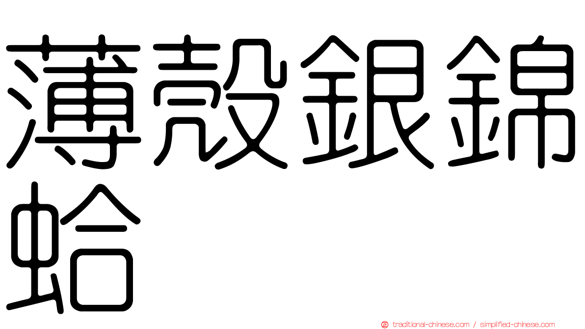 薄殼銀錦蛤
