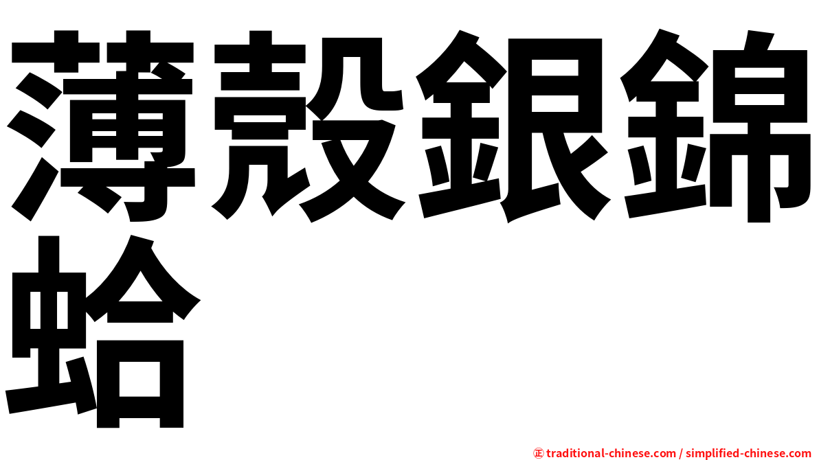 薄殼銀錦蛤