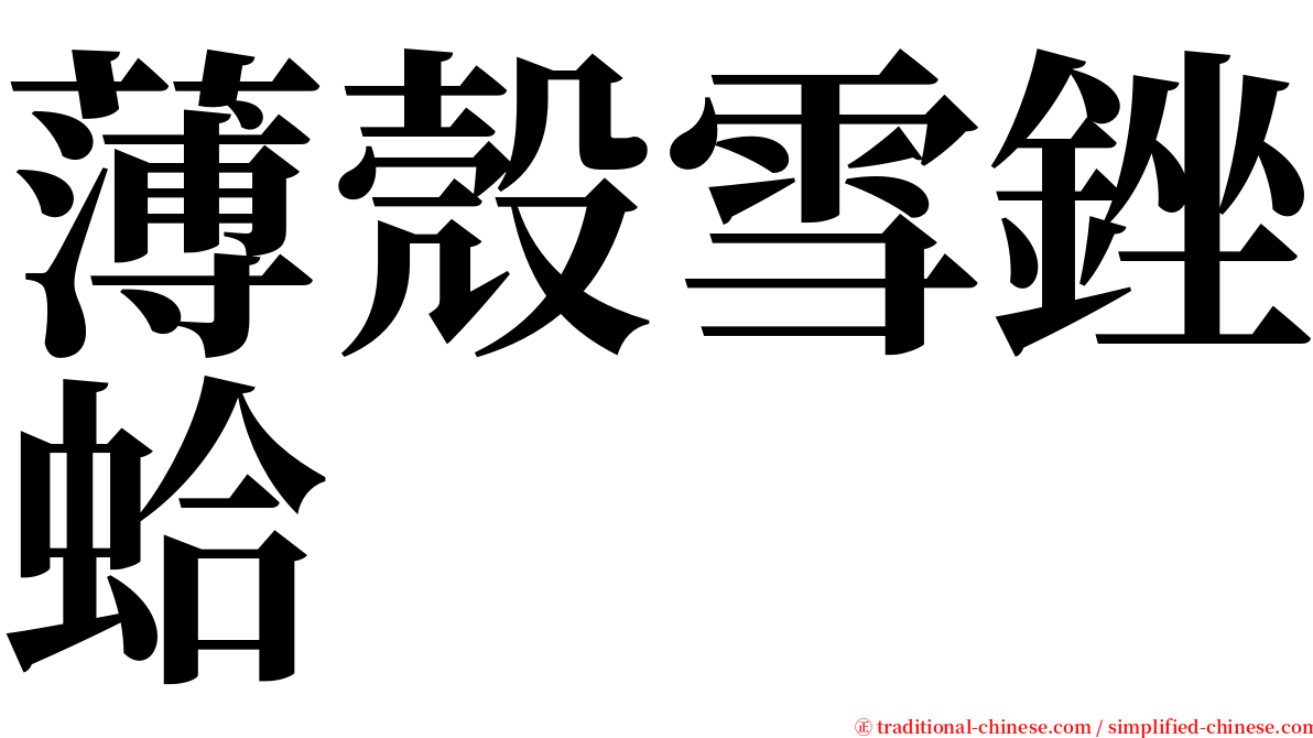 薄殼雪銼蛤 serif font