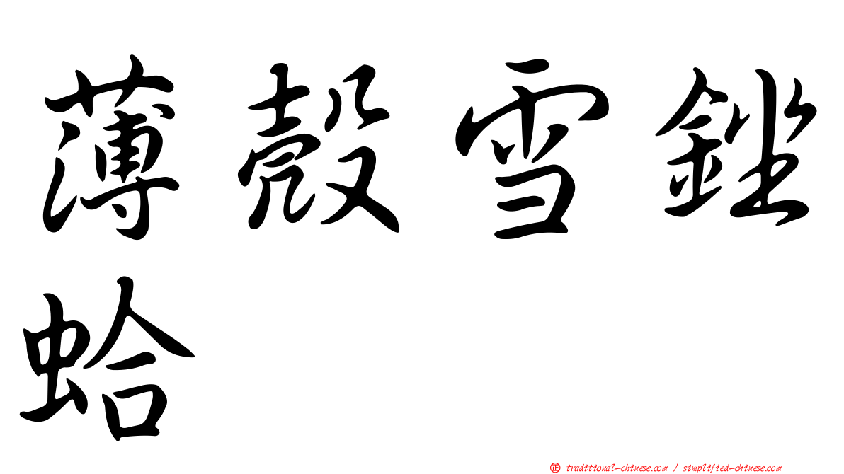 薄殼雪銼蛤