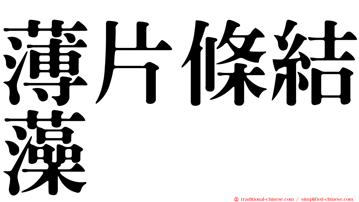 薄片條結藻