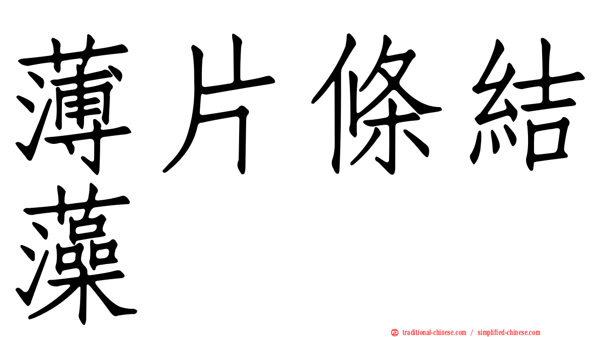 薄片條結藻