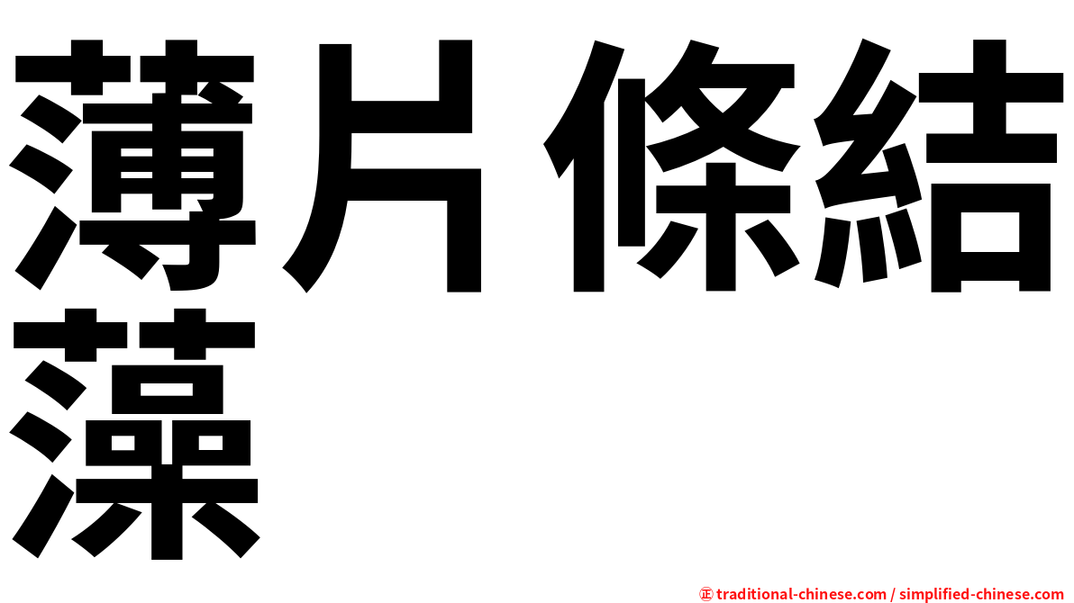 薄片條結藻