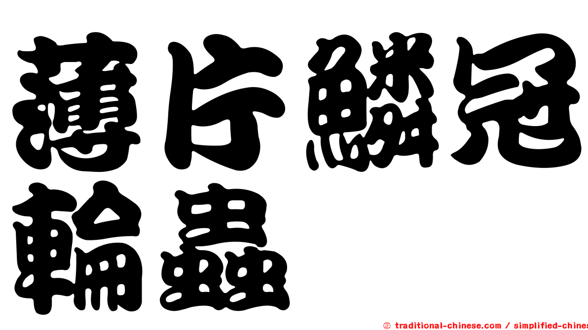 薄片鱗冠輪蟲