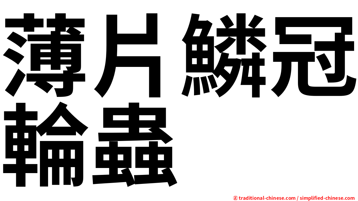 薄片鱗冠輪蟲
