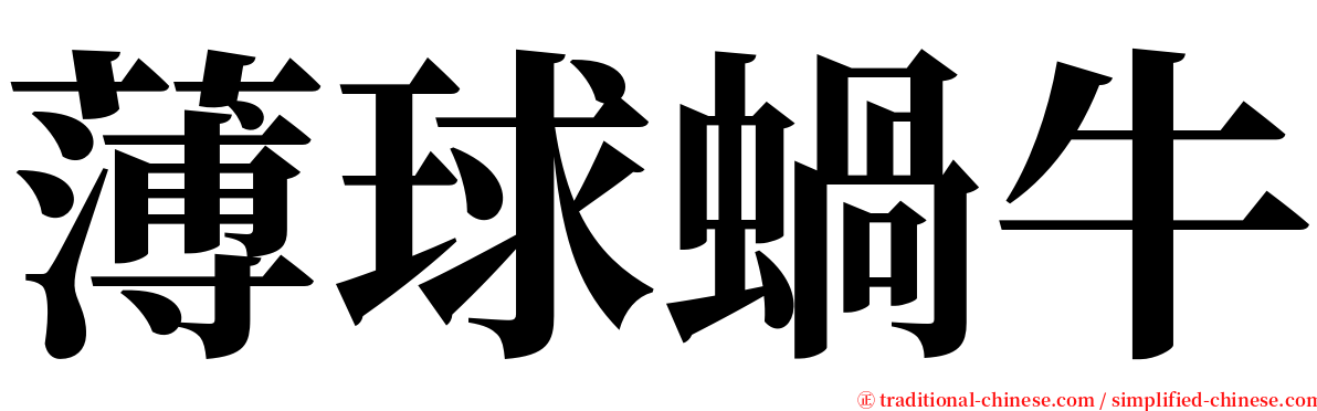 薄球蝸牛 serif font