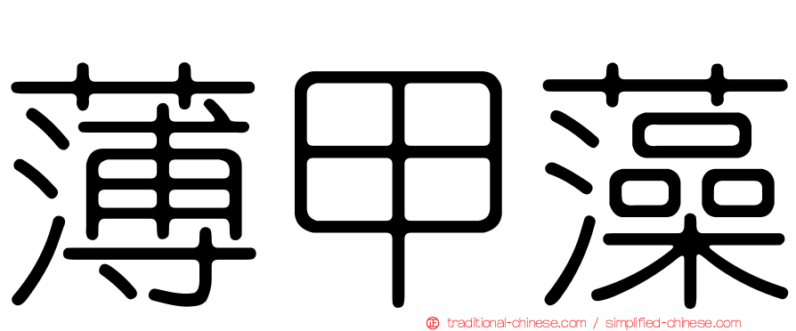 薄甲藻