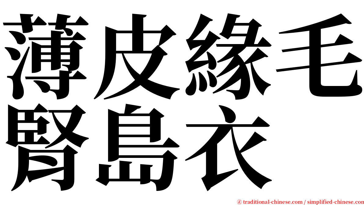 薄皮緣毛腎島衣 serif font