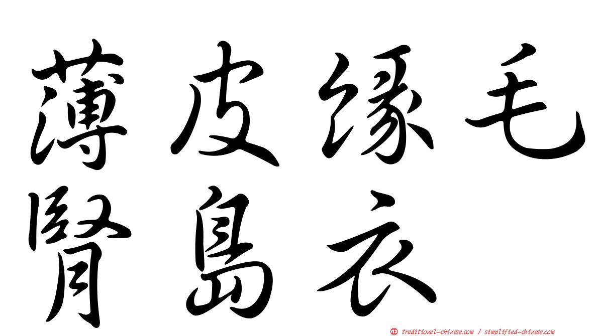 薄皮緣毛腎島衣