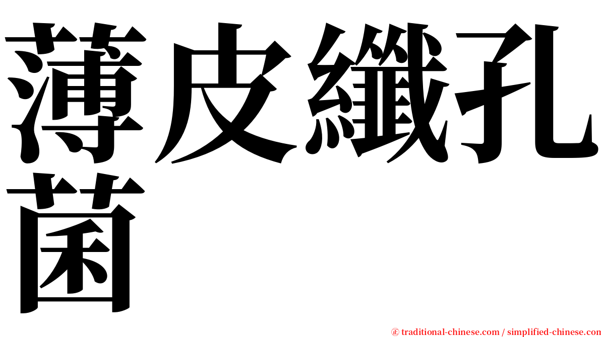 薄皮纖孔菌 serif font