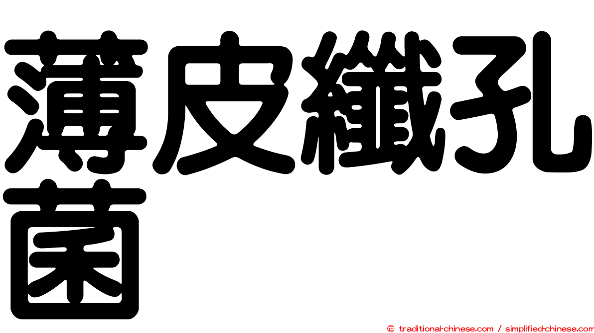 薄皮纖孔菌