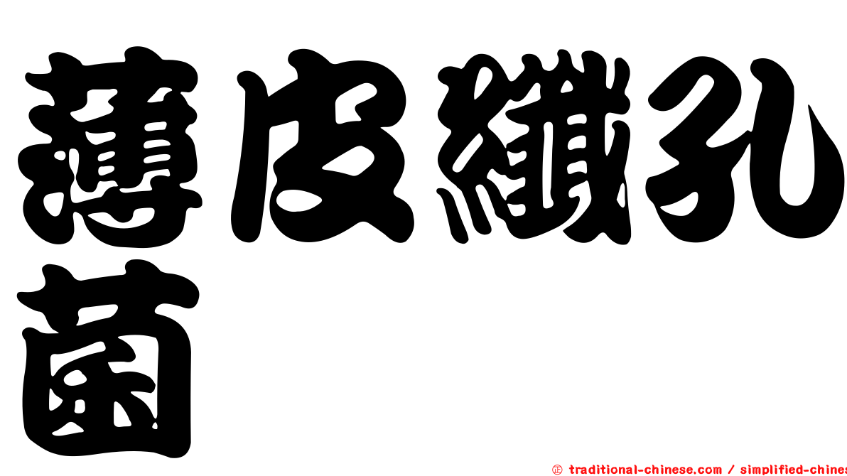 薄皮纖孔菌