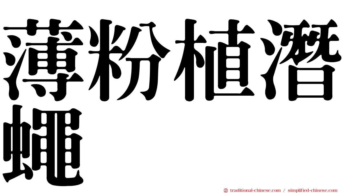 薄粉植潛蠅