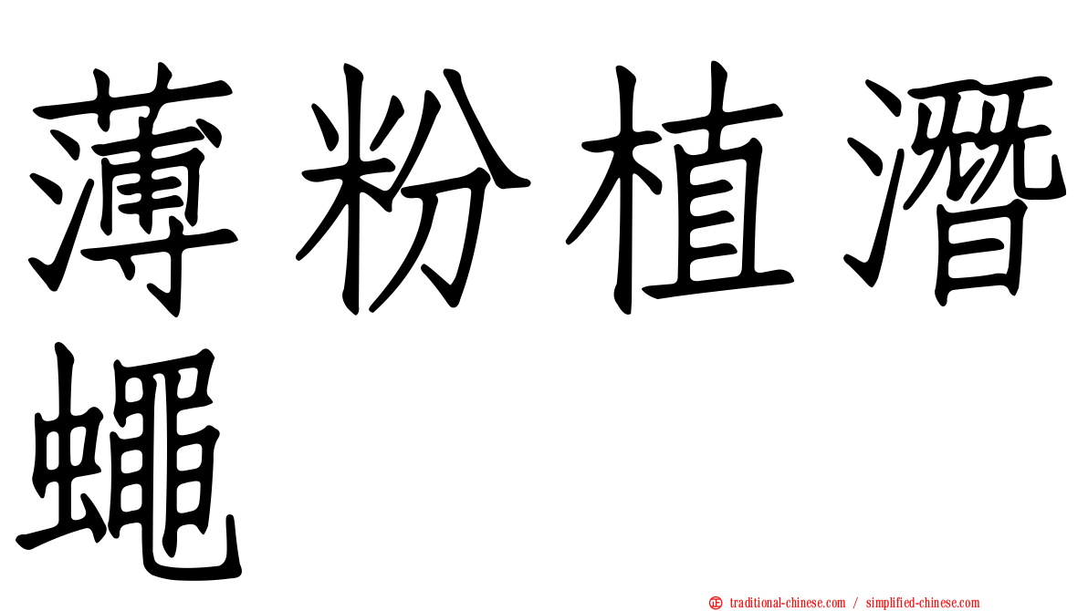 薄粉植潛蠅