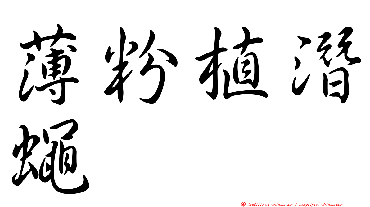 薄粉植潛蠅