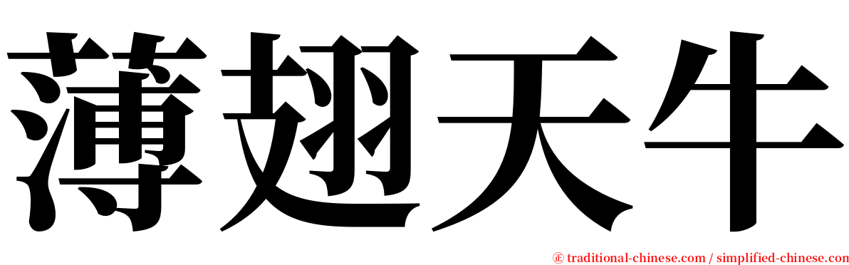 薄翅天牛 serif font