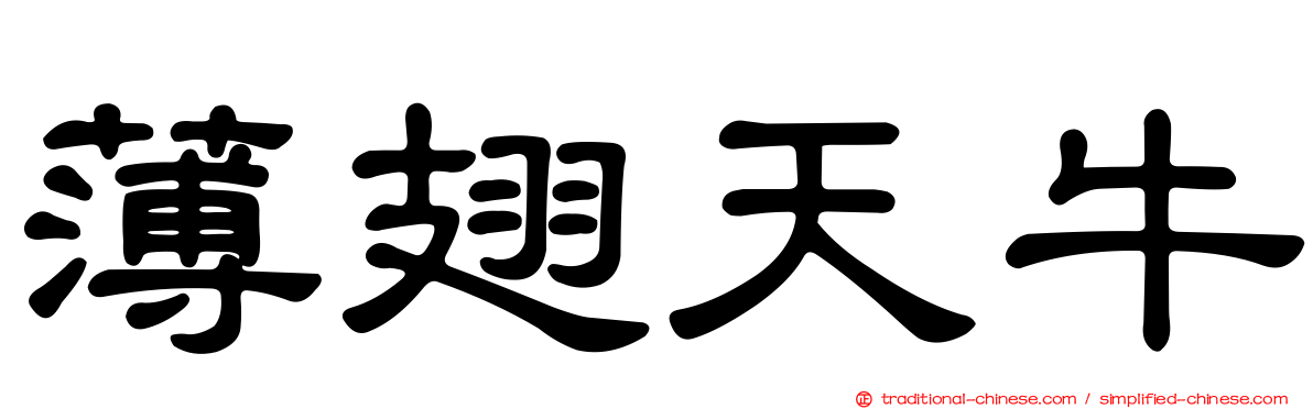 薄翅天牛
