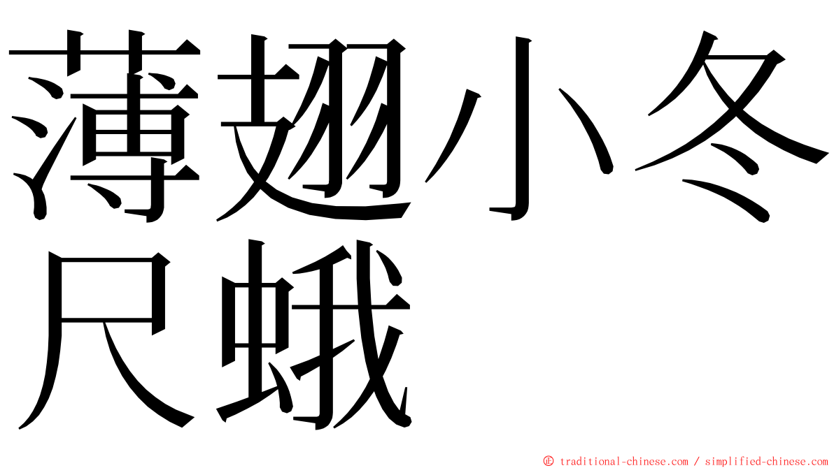 薄翅小冬尺蛾 ming font
