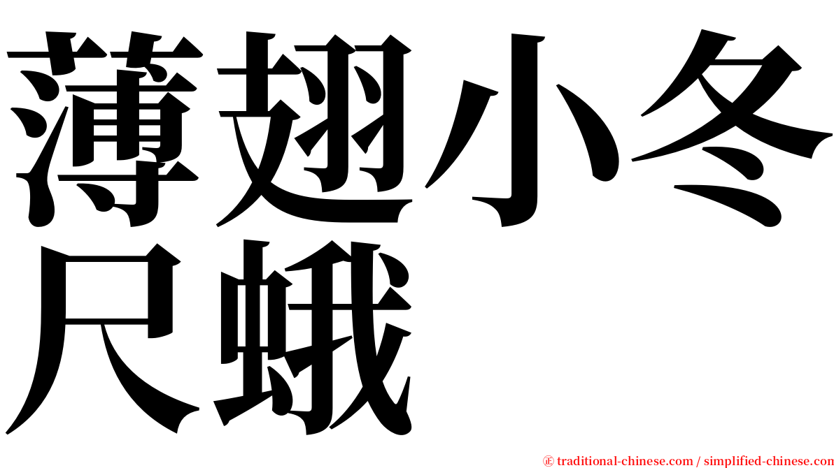 薄翅小冬尺蛾 serif font