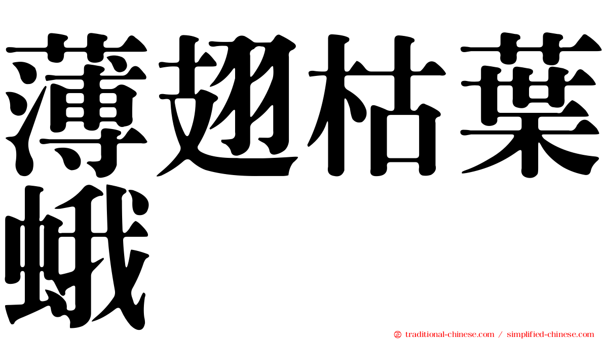 薄翅枯葉蛾