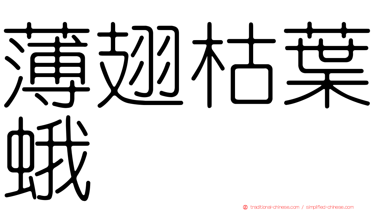 薄翅枯葉蛾