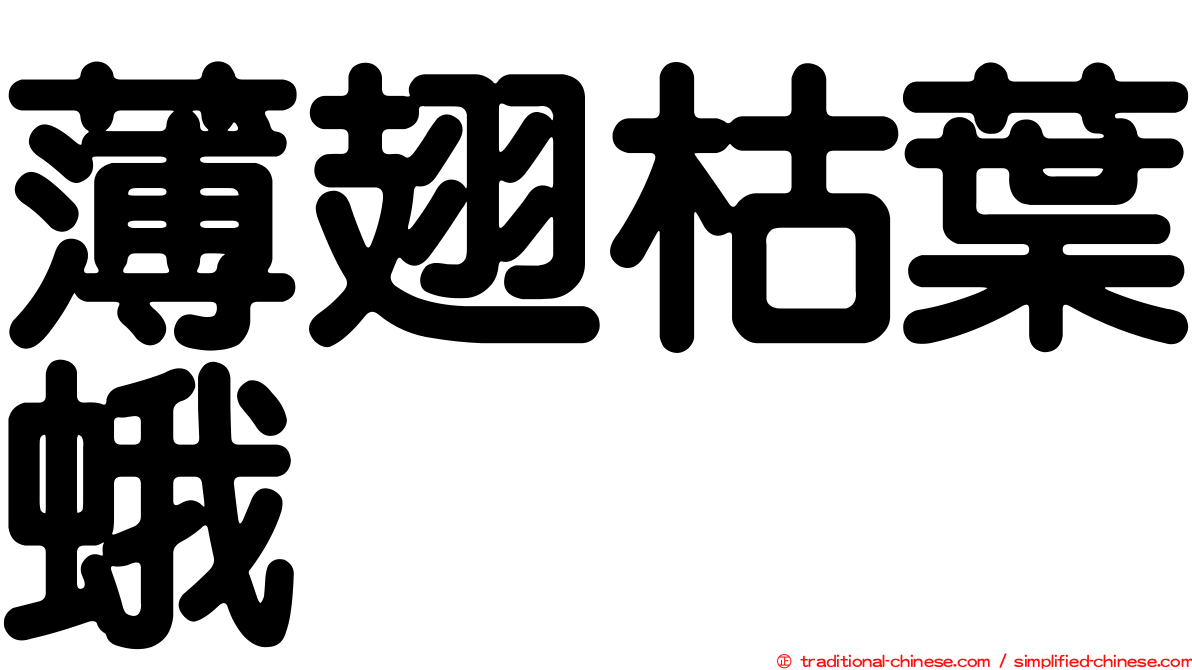 薄翅枯葉蛾