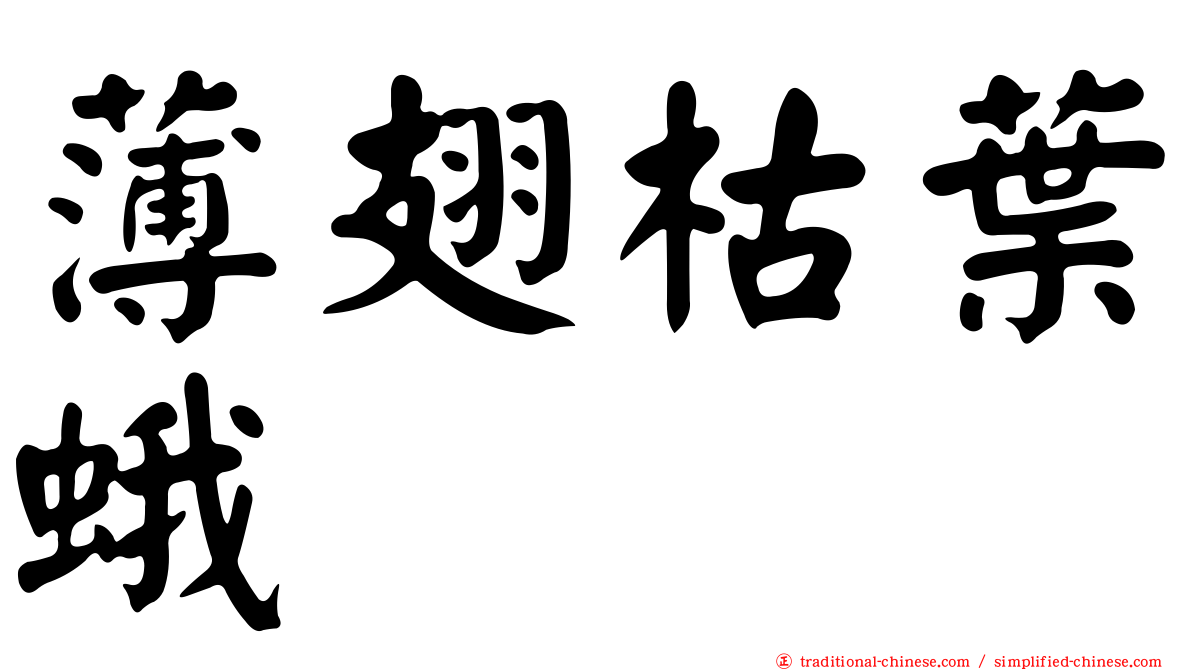薄翅枯葉蛾