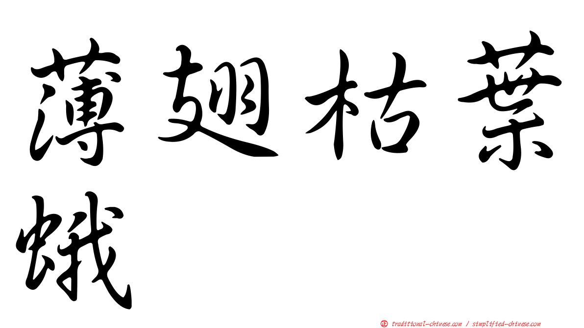 薄翅枯葉蛾